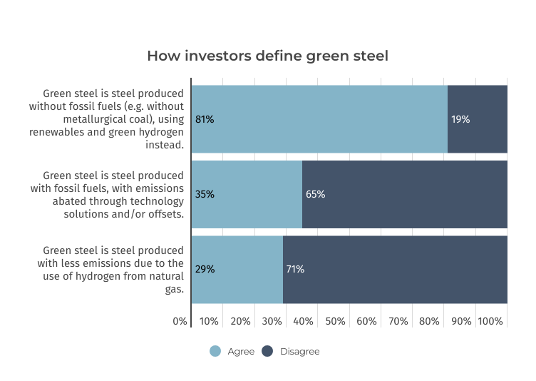 The majority of investors (81%) agree that ‘green steel’ cannot be produced with fossil fuels.