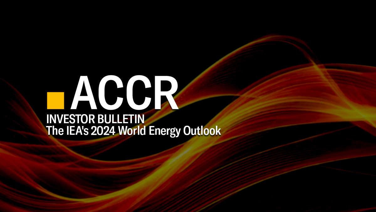 Cover page of the Investor Bulletin: IEA's 2024 World Energy Outlook publication.